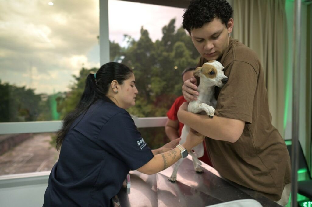 agendamento-para-castracao-gra