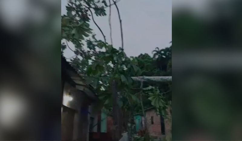 arvore-cai-em-cima-de-casa-no-