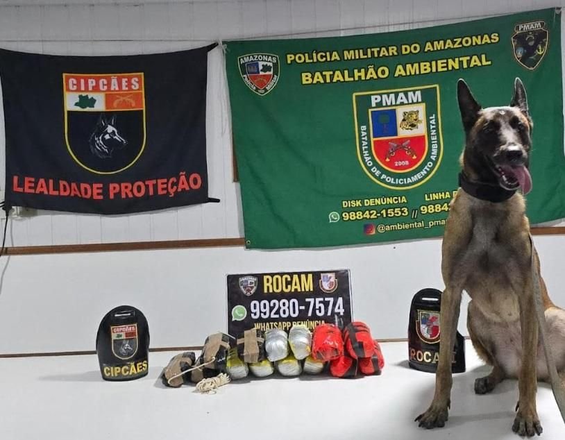 cao-policial-encontra-nove-qui