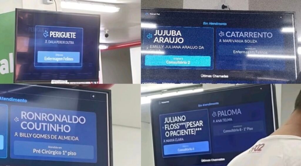 de-catarrrento-a-periguete-nom