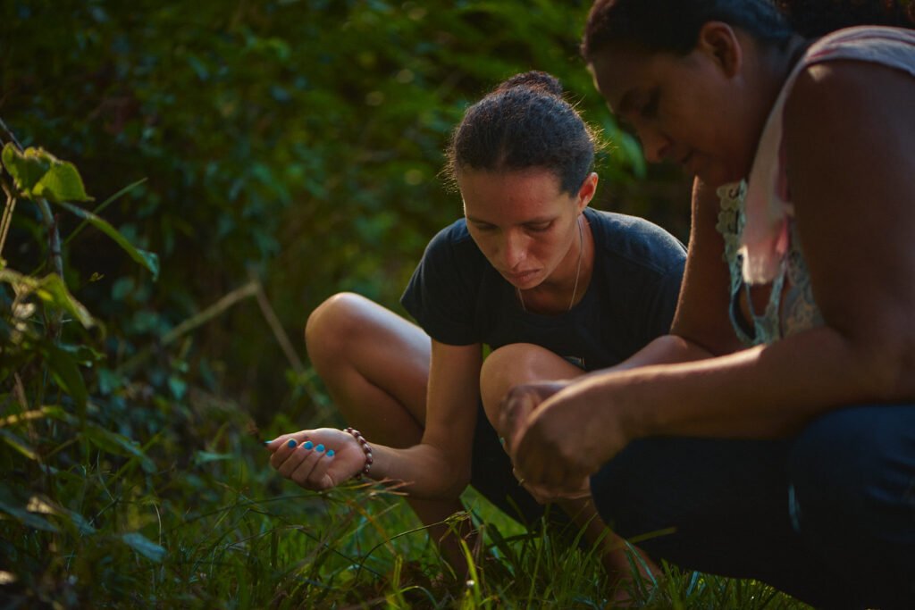 dia-internacional-da-mulher-pr