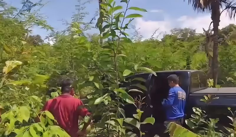 empresario-e-sequestrado-balea