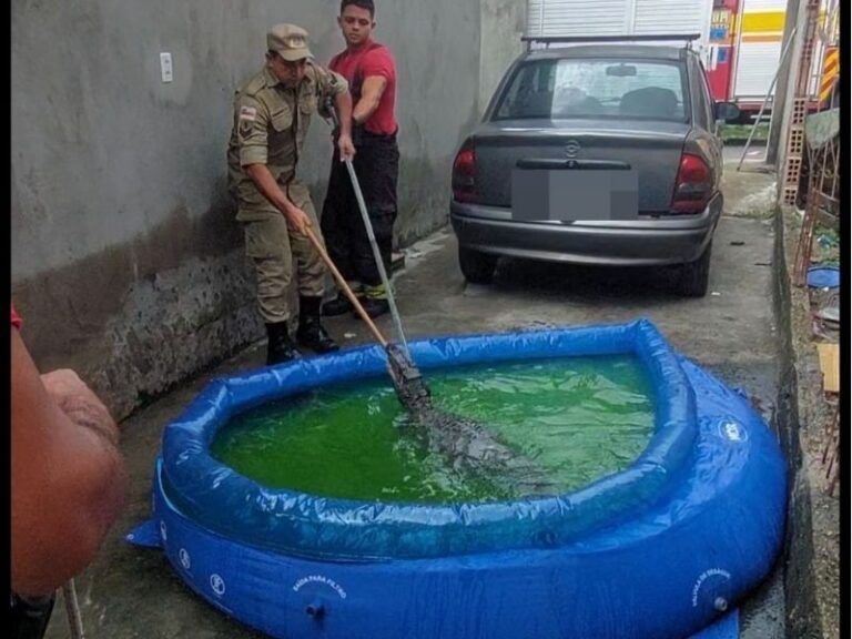 moradores-acionam-bombeiros-ap