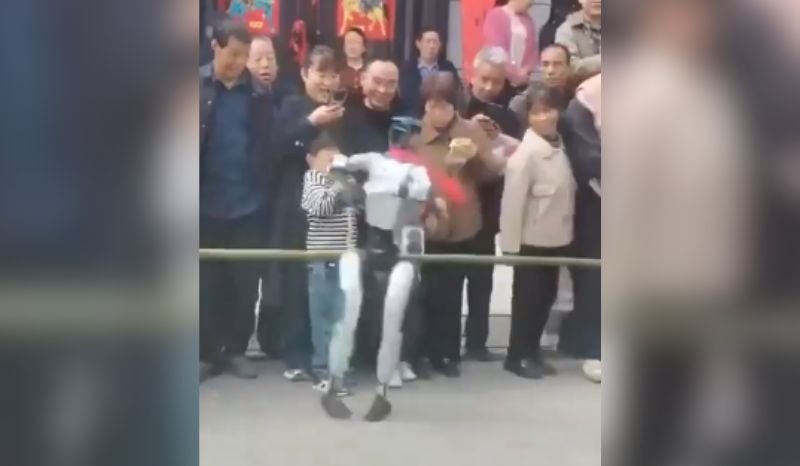 video-mostra-robo-acertar-tapa