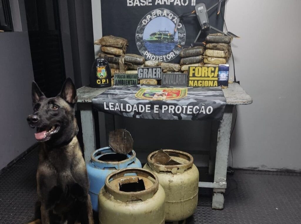 cao-farejador-localiza-quase-3