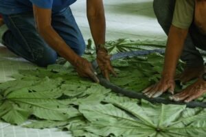 ceramica-ancestral-ressurge-pe