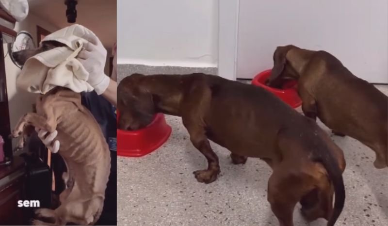 daniel-cady-reflete-sobre-sepa