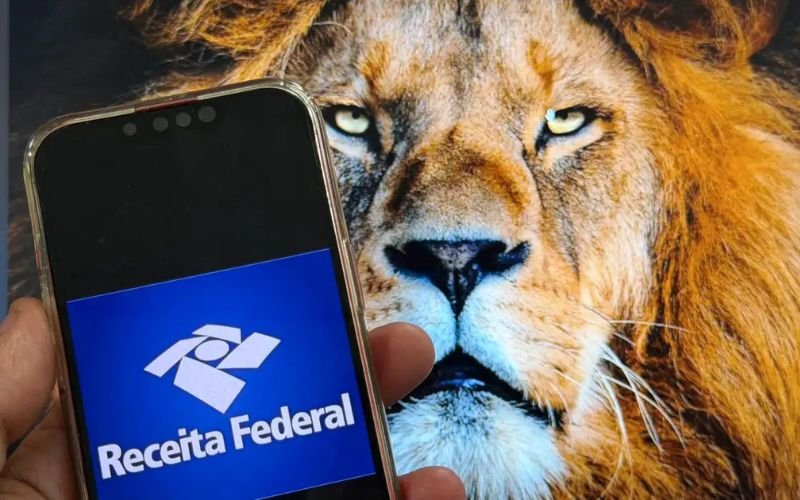 ir-2026-como-deduzir-gastos-co