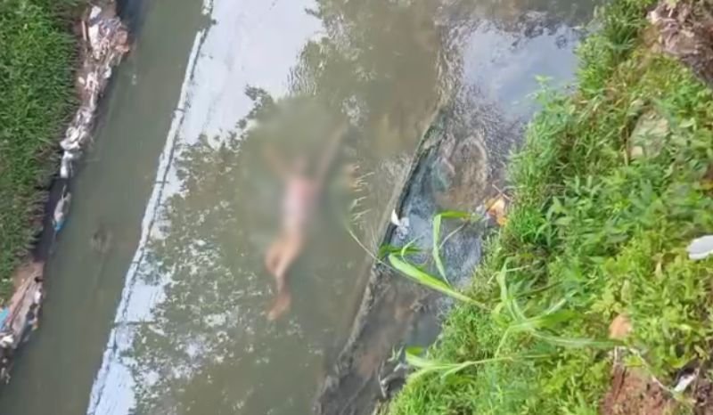 moradores-encontram-corpo-boia