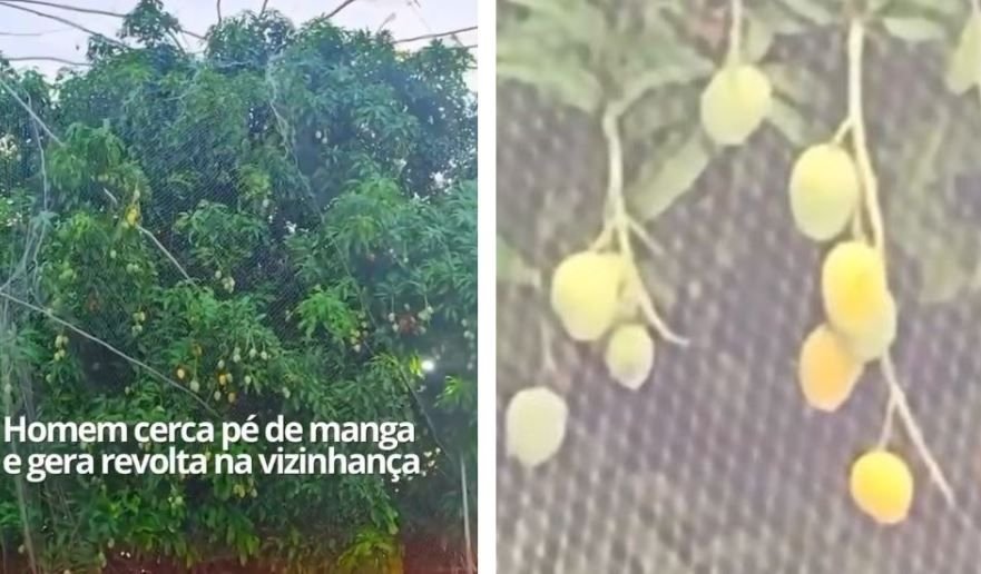 motorista-de-aplicativo-e-feit