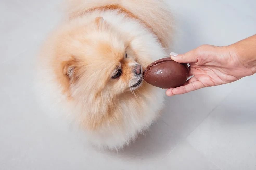 por-que-o-chocolate-e-tao-toxi