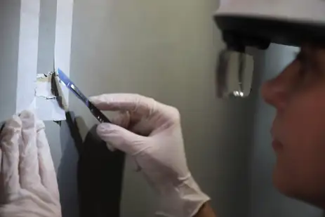 unifesp-identifica-cela-onde-a