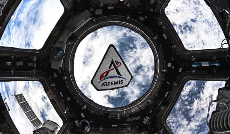 virginia-fonseca-nega-negligen