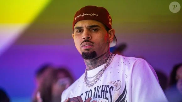 cao-de-chris-brown-arranca-ped