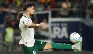 palmeiras-busca-recuperacao-no