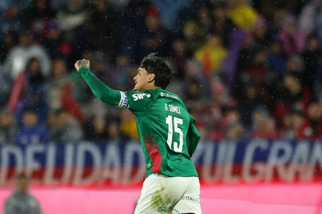 palmeiras-e-santos-se-enfrenta