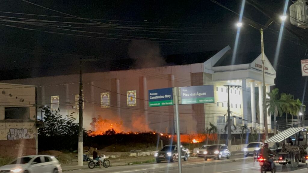 video-incendio-em-area-de-mata